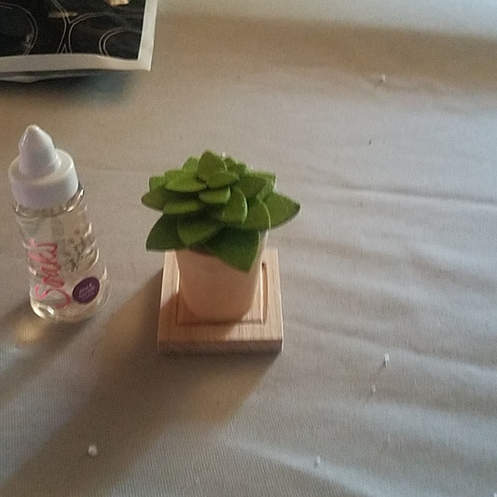 Diffuser, PZ Soaks (coconut mint water and Aloe &